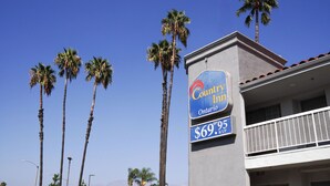 A Country Inn sign with a price tag of $69.95 & up, surrounded by tall palm trees. - Country Inn (Ontario)