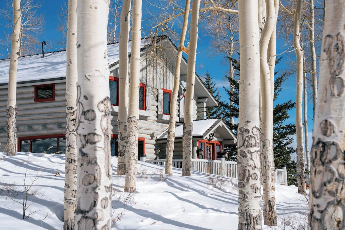 Cabin, 4 Bedrooms (Trappers, Home, On-Mountain) | Exterior detail