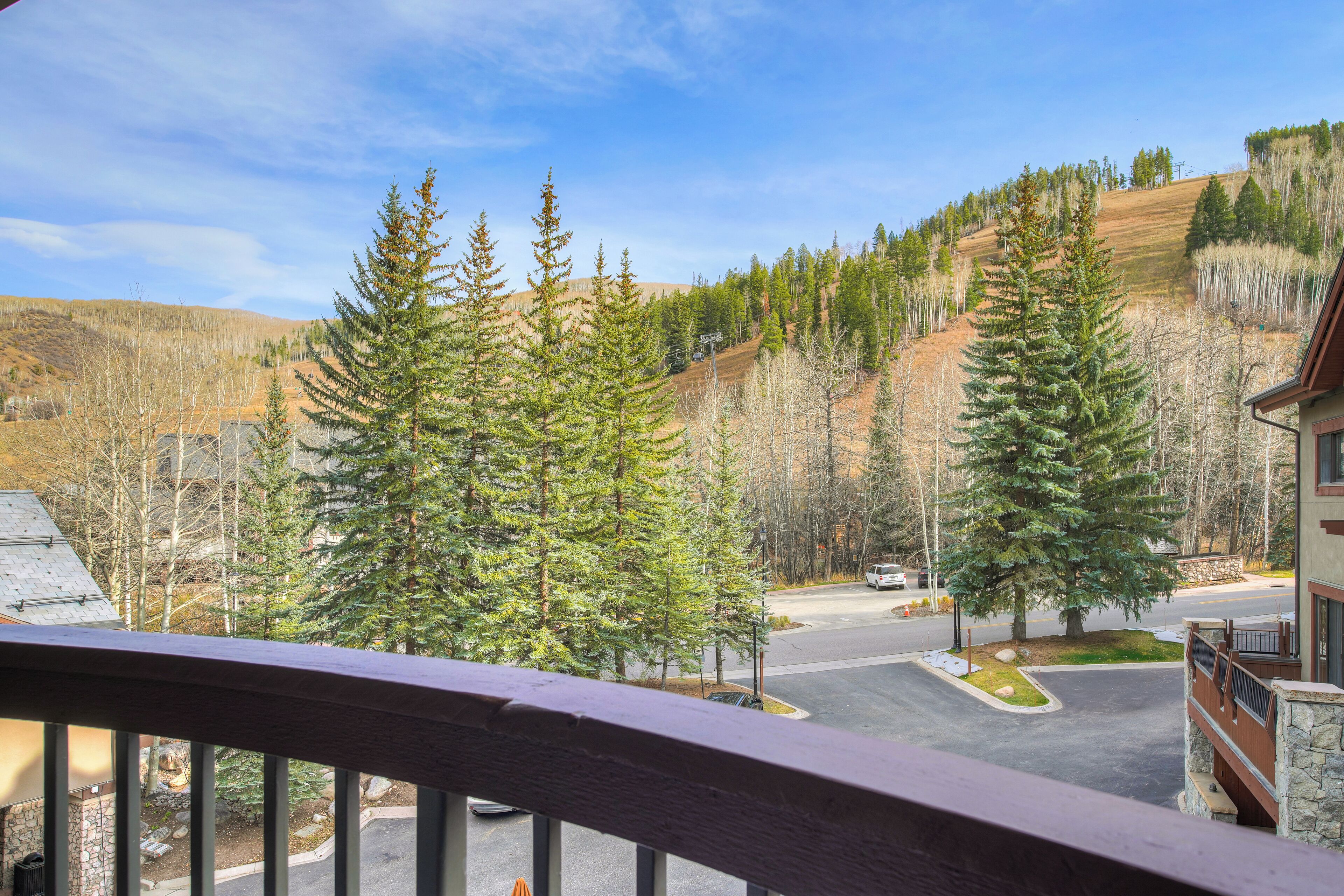 A mountain view with evergreen trees, a road, and a building with a stone facade.