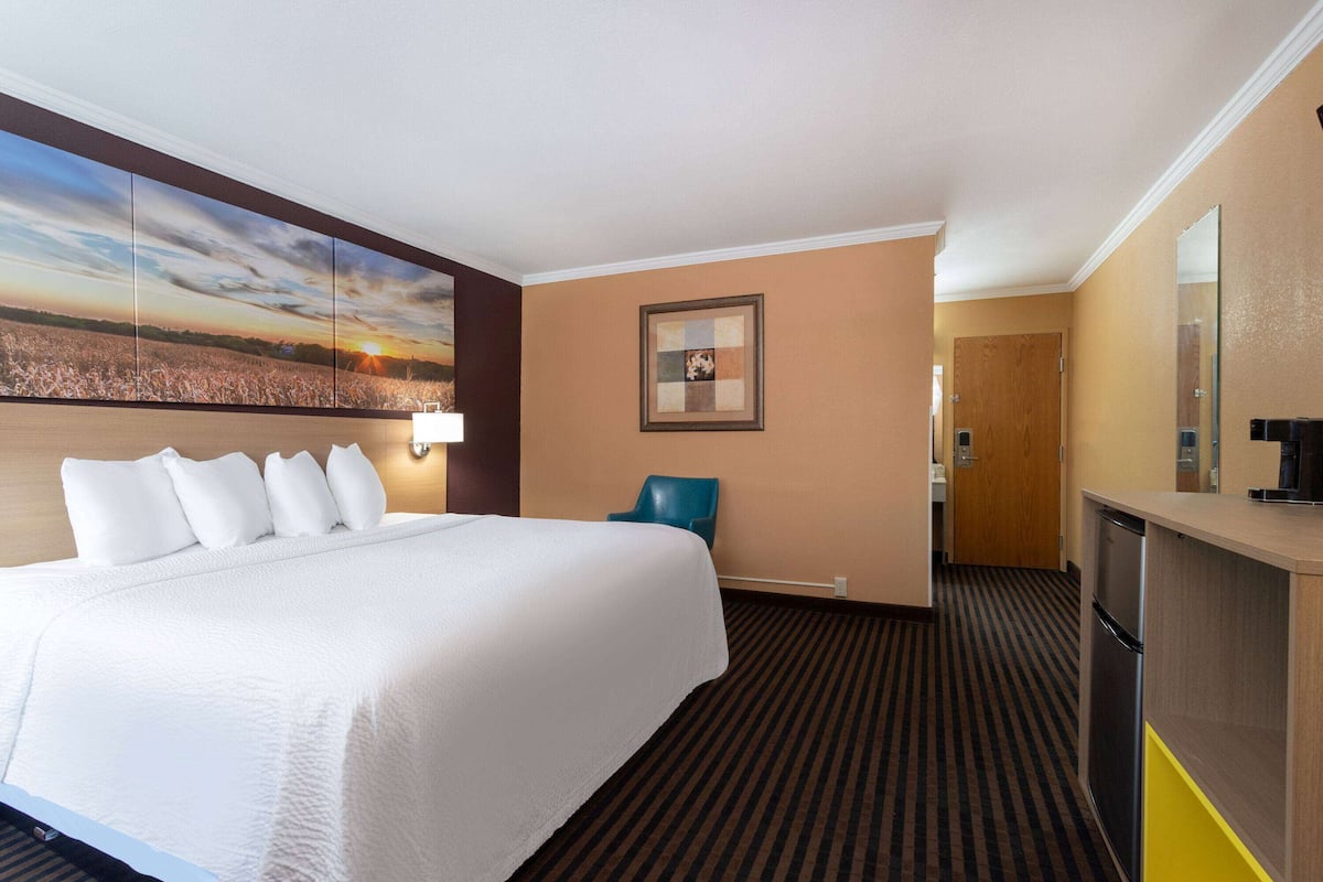 Habitación de hotel con una cama grande, un escritorio con refrigerador, una silla y un cuadro en la pared.