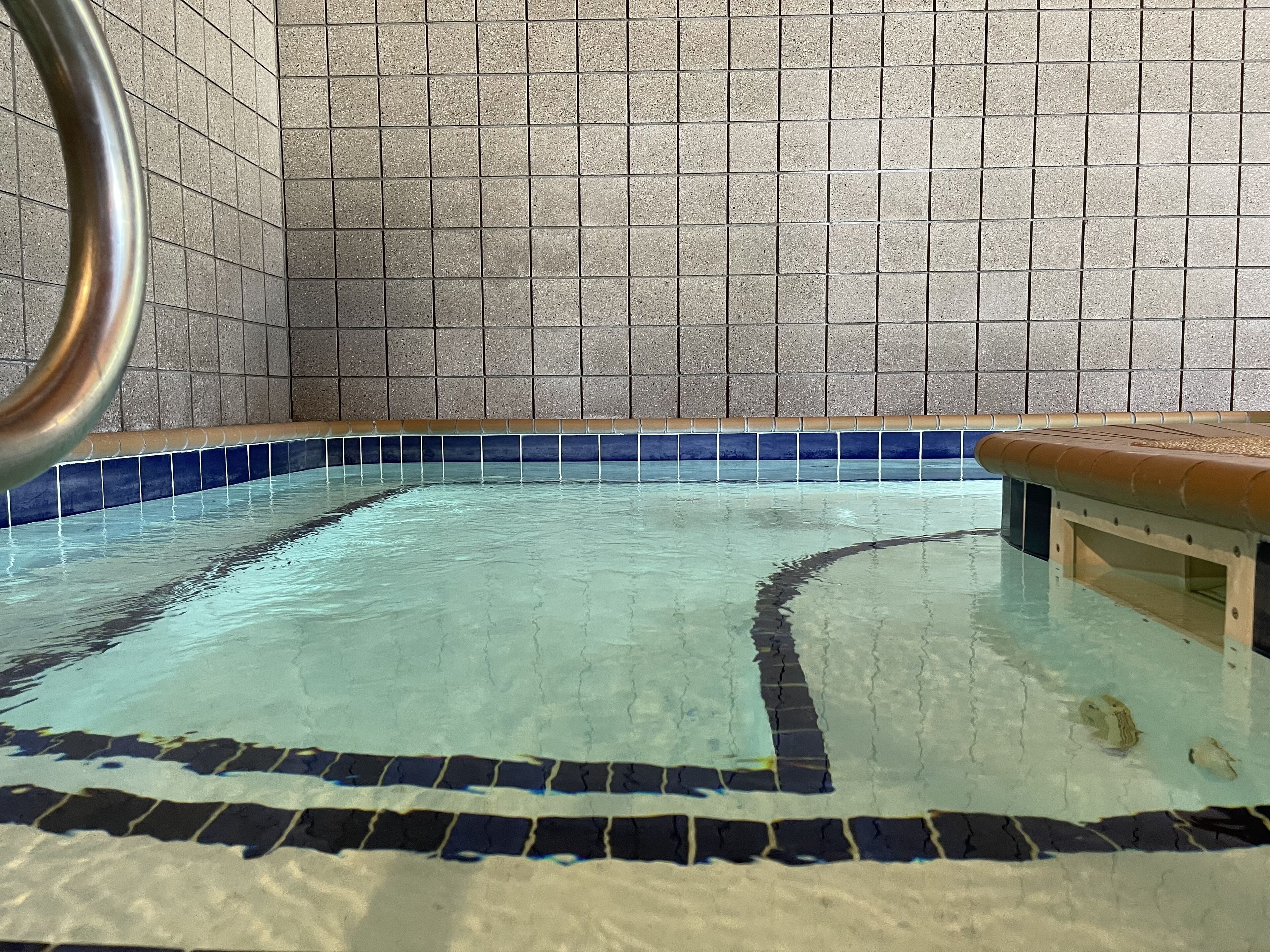 Une piscine dont les murs et le bord sont recouverts de carreaux.