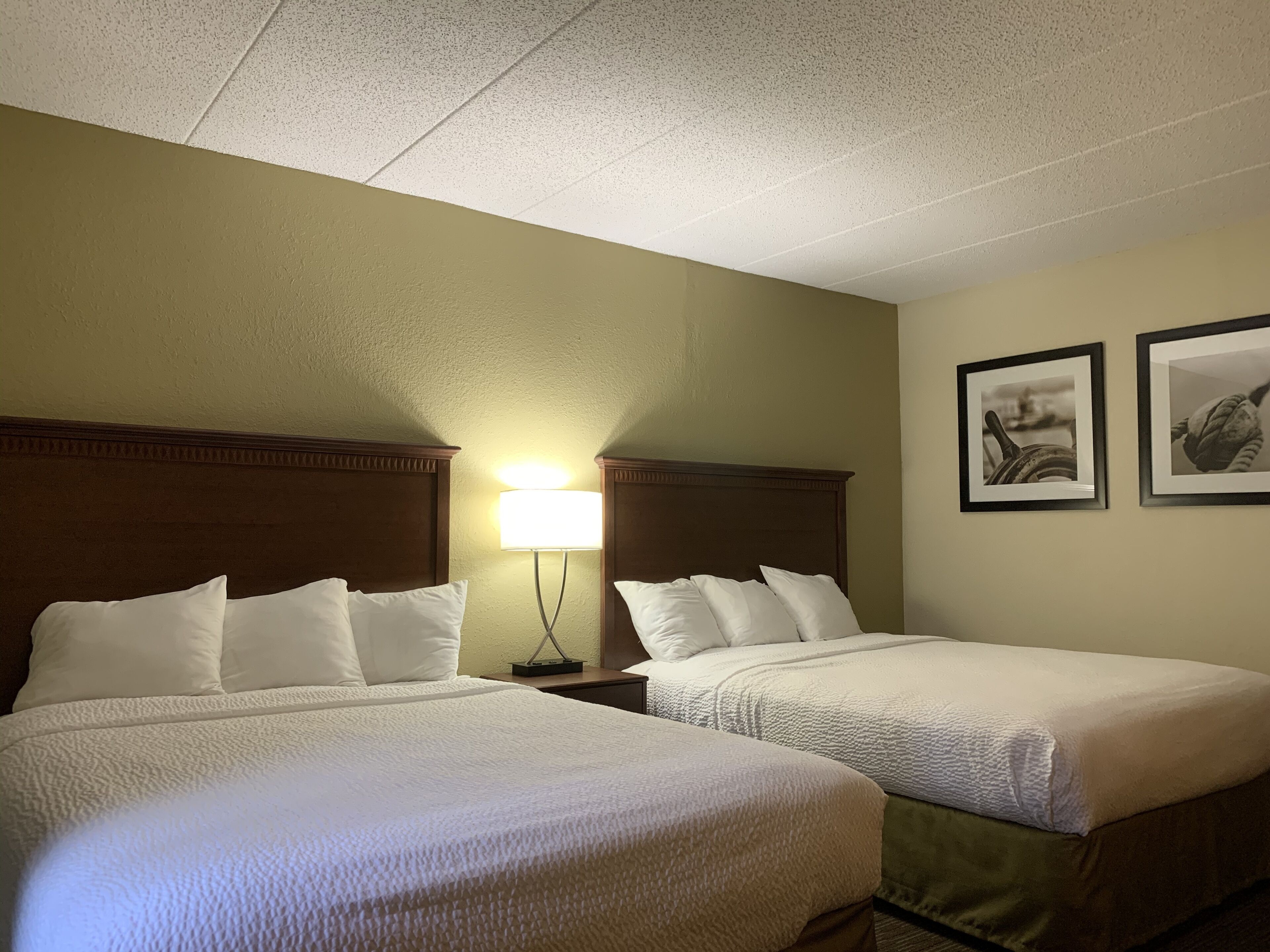 double room, 2 queen beds | desk, iron/ironing board, free wifi, bed sheets