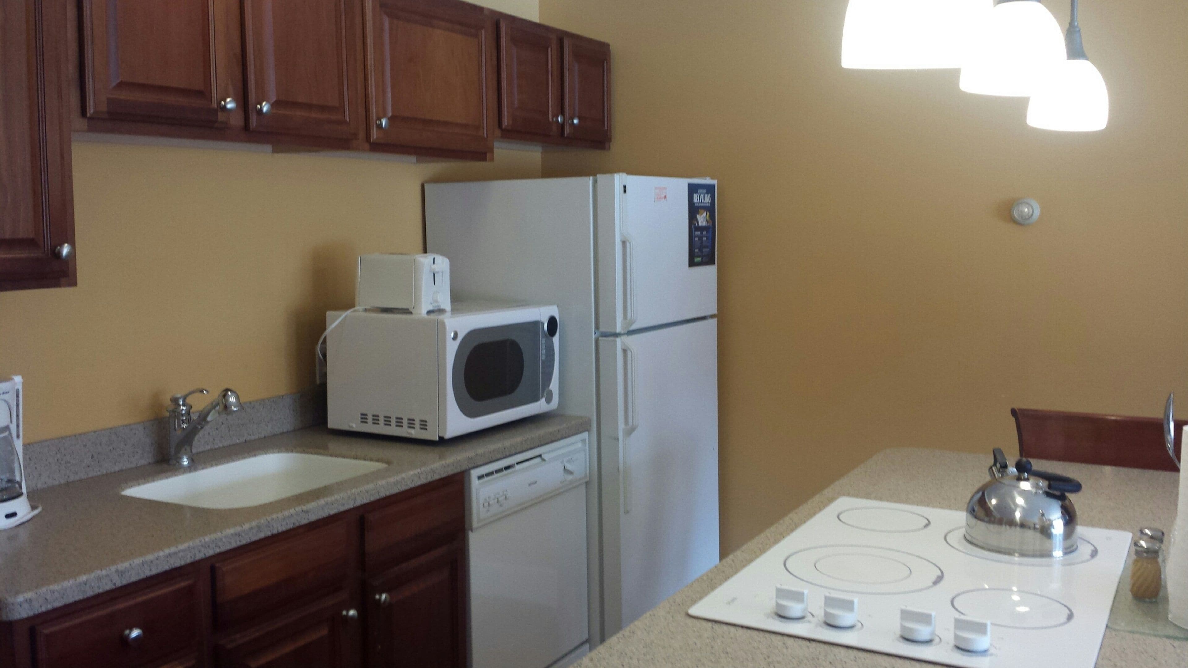 suite, 1 bedroom | private kitchen | fridge, microwave