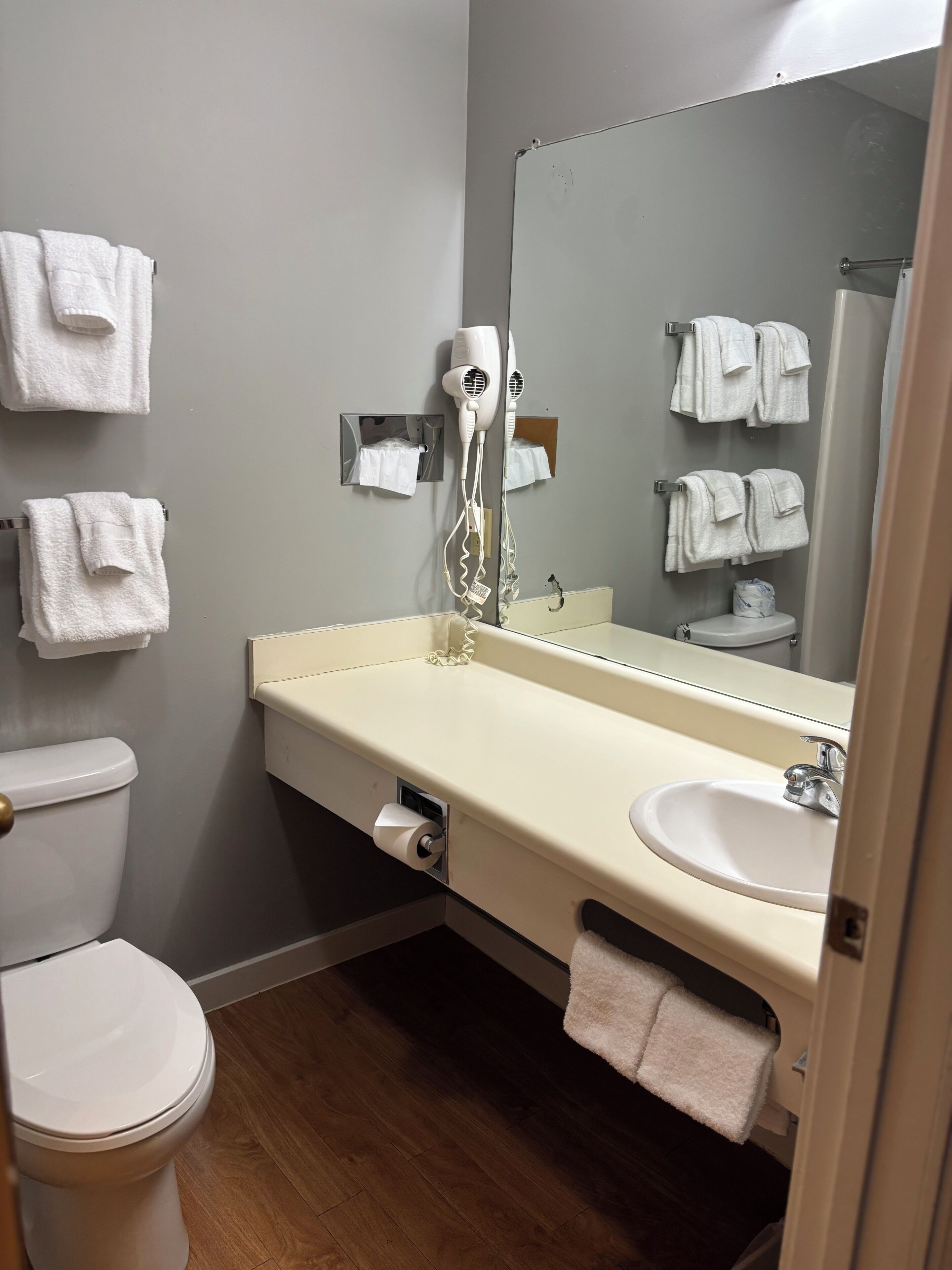 A bathroom with a toilet, sink, mirror, and hairdryer.