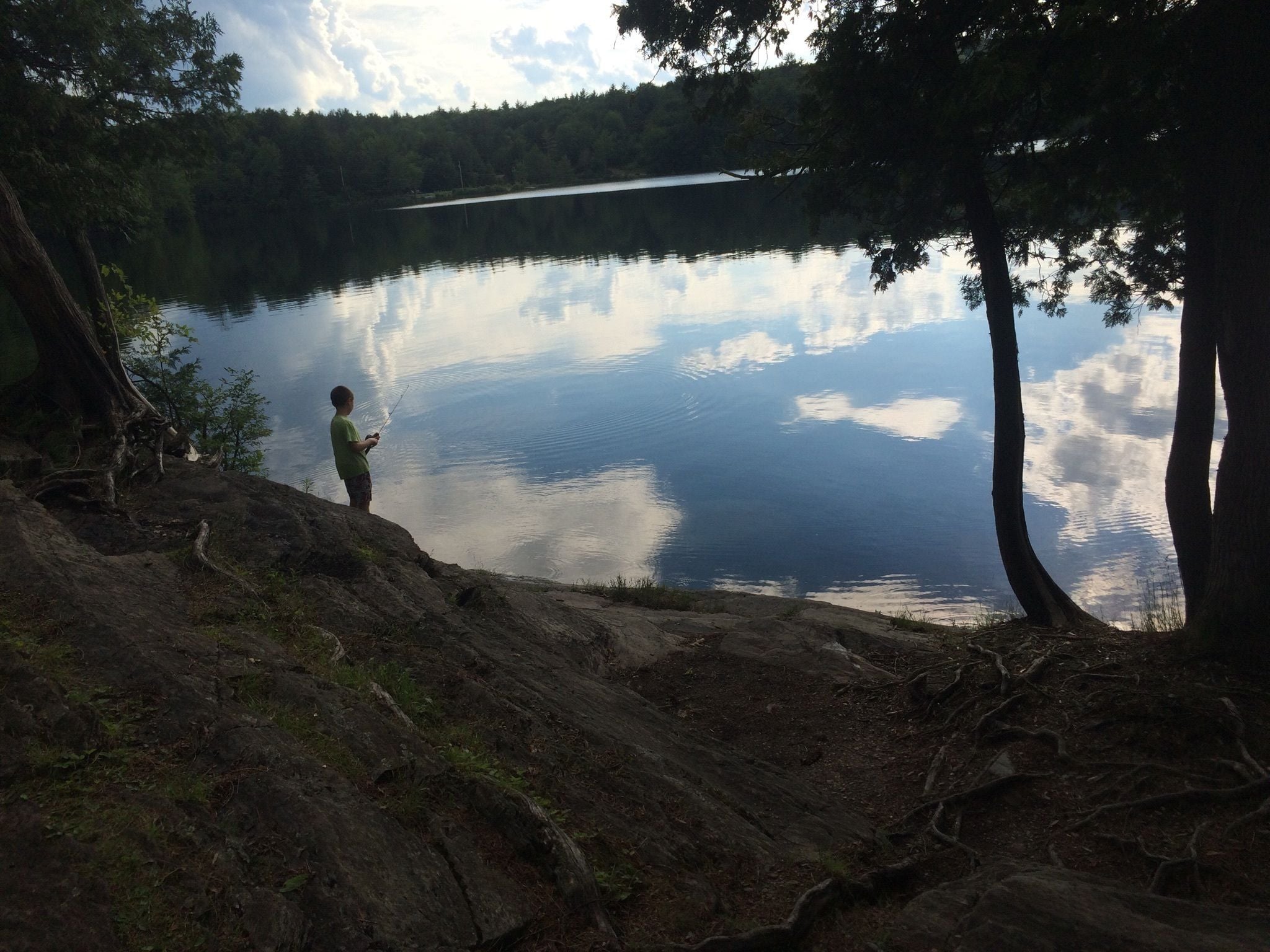 A tranquil lake with a person fishing, surrounded by trees and a forested area.