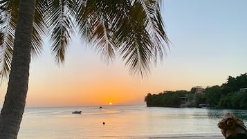 Escena de playa con palmeras, atardecer y un barco en el agua.