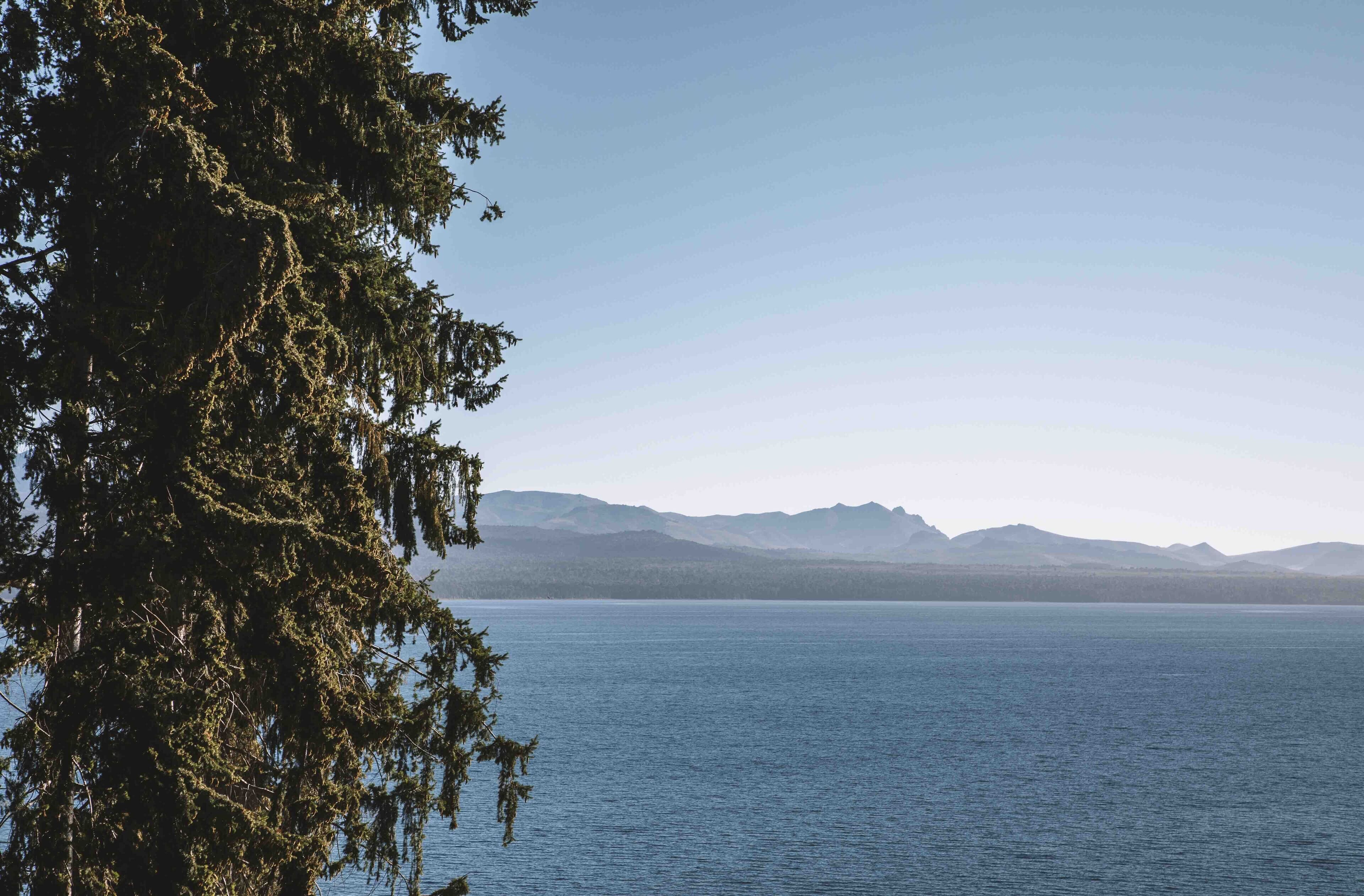 premium bedding, down duvets, pillow-top beds, minibar