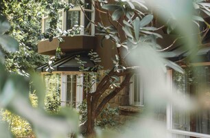 Un edificio de piedra con varias ventanas y un árbol en primer plano.