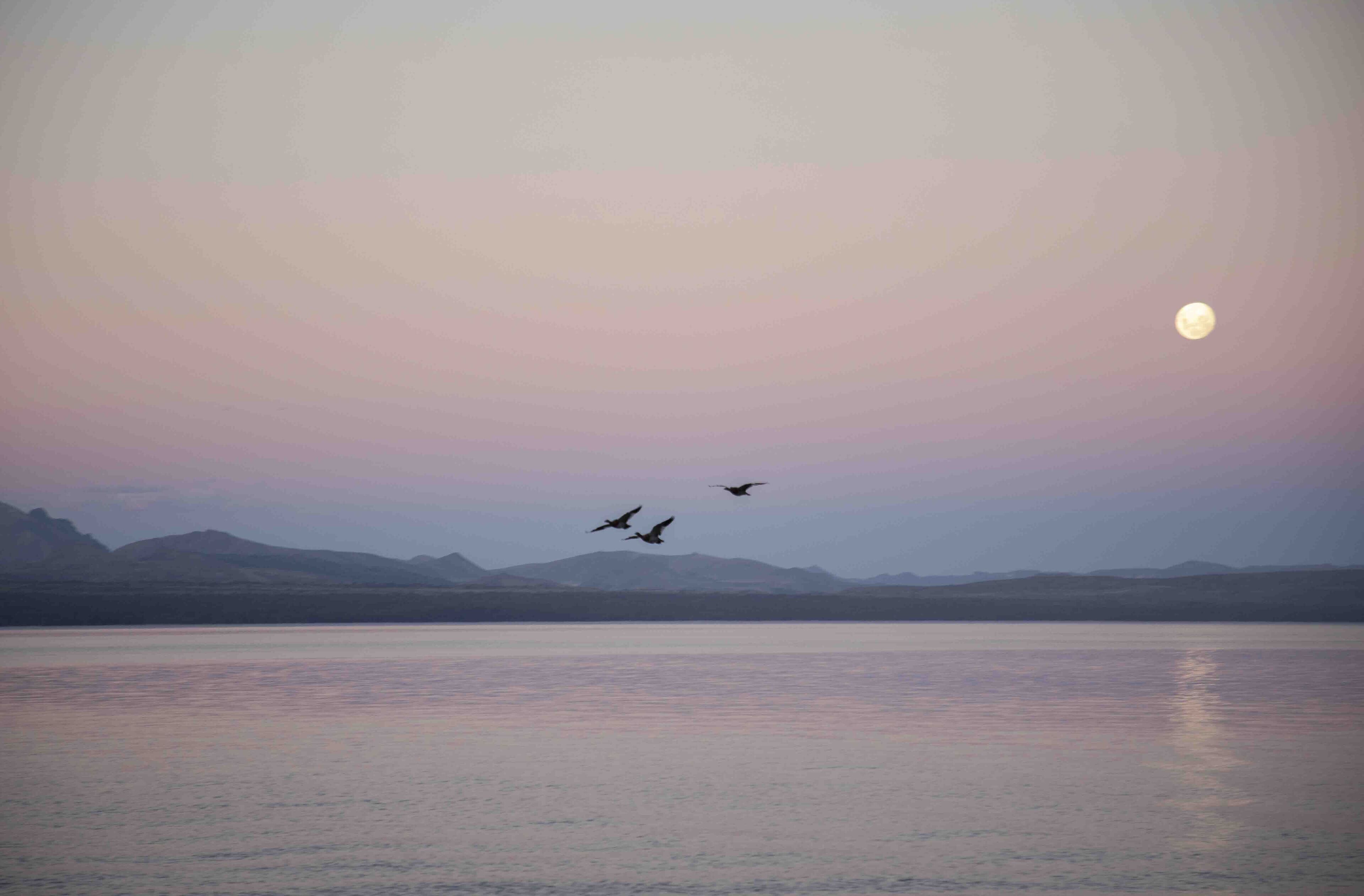 Un lago tranquilo con luna llena y montañas al fondo.