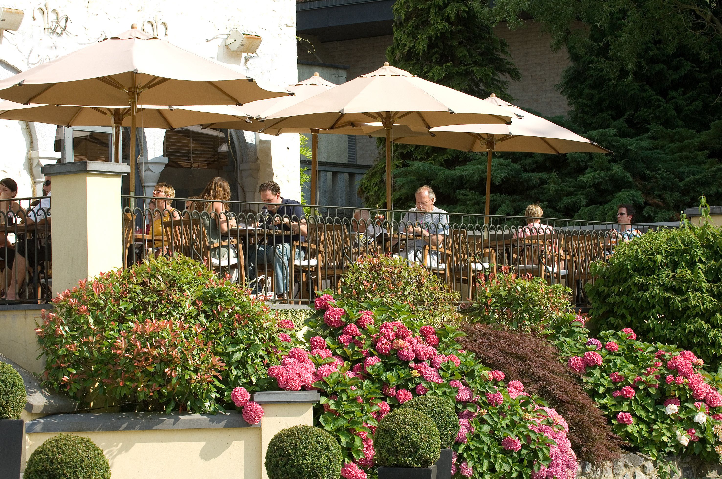 lunch and dinner served, international cuisine