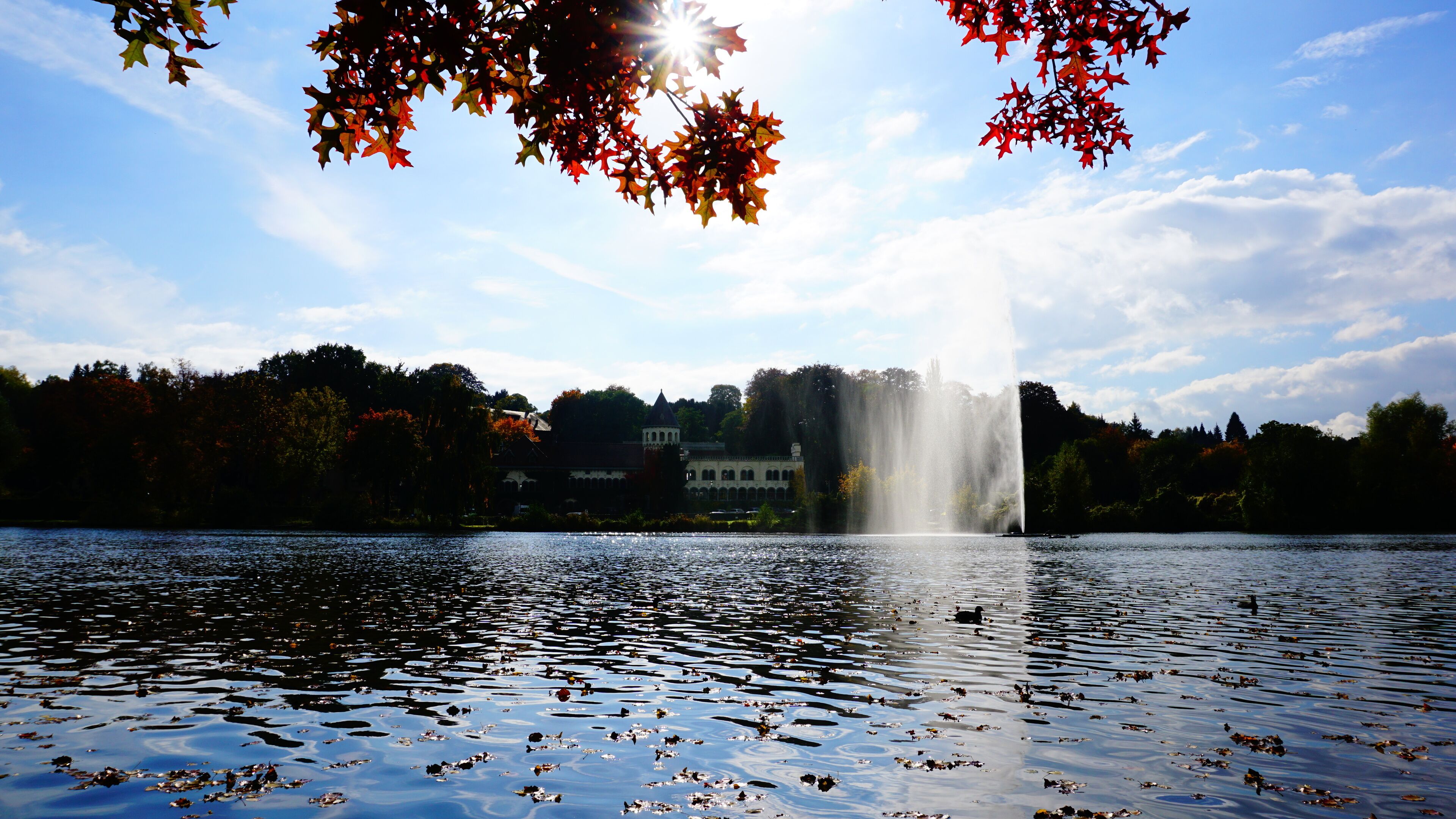 Un lago con una fontana, circondato da alberi e edifici sullo sfondo.
