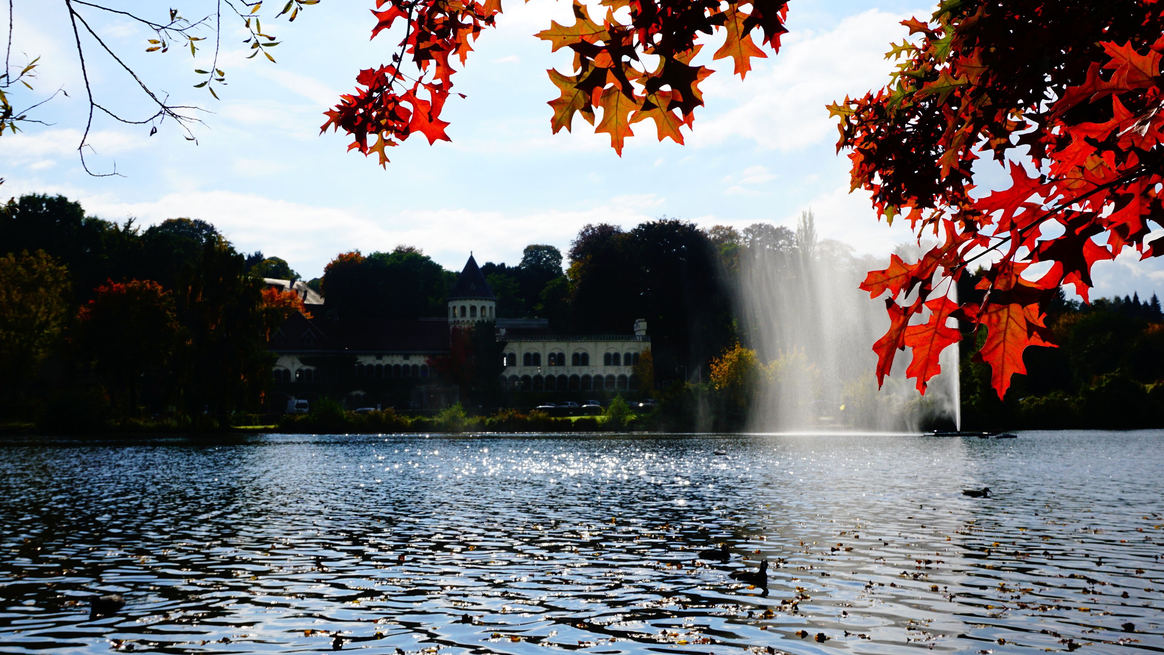 Un lago con una fuente, rodeado de follaje otoñal y edificios al fondo.