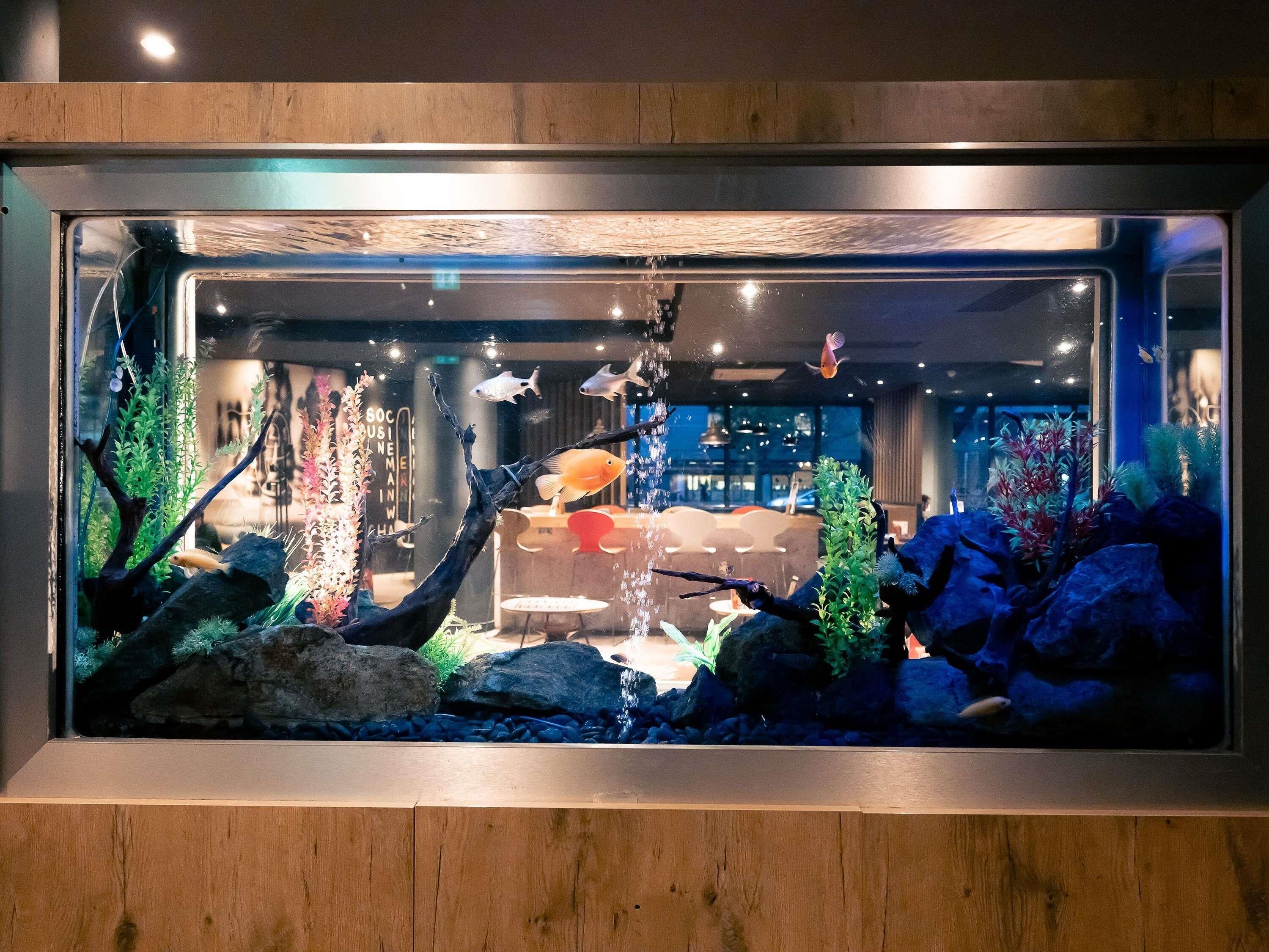 Un aquarium contenant des plantes aquatiques et des poissons, situé dans une pièce dont le sol est en bois et qui comprend un coin salon à l’arrière-plan.