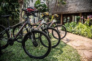 Ciclismo