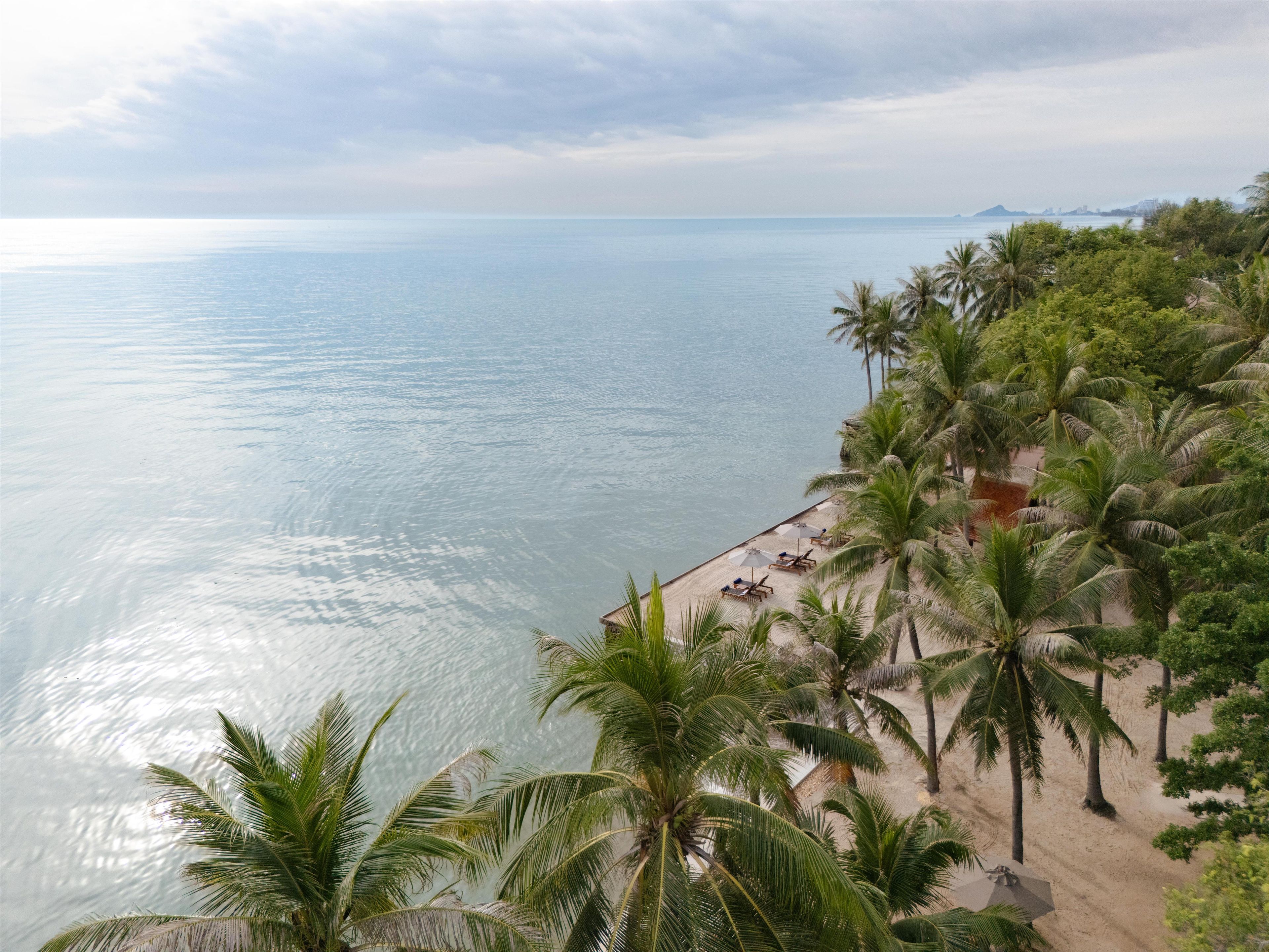 Una playa con palmeras y una vista despejada del océano.