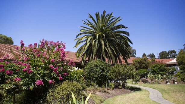 A garden with a palm tree, flowering bushes, and a pathway leading to a building with a red-tiled roof. - Julie-Anna Inn, Bendigo (Bendigo)