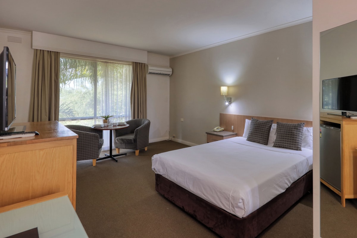 Habitación de hotel con cama, escritorio, silla, televisión y una pequeña mesa con una planta.