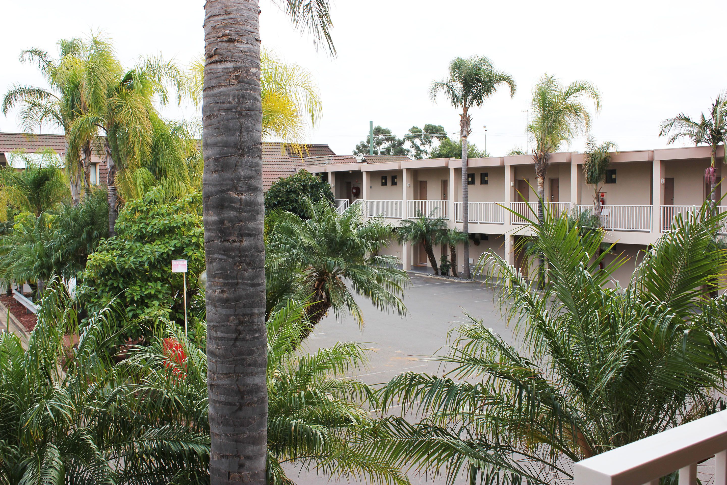 A hotel courtyard with palm trees and a building with balconies.