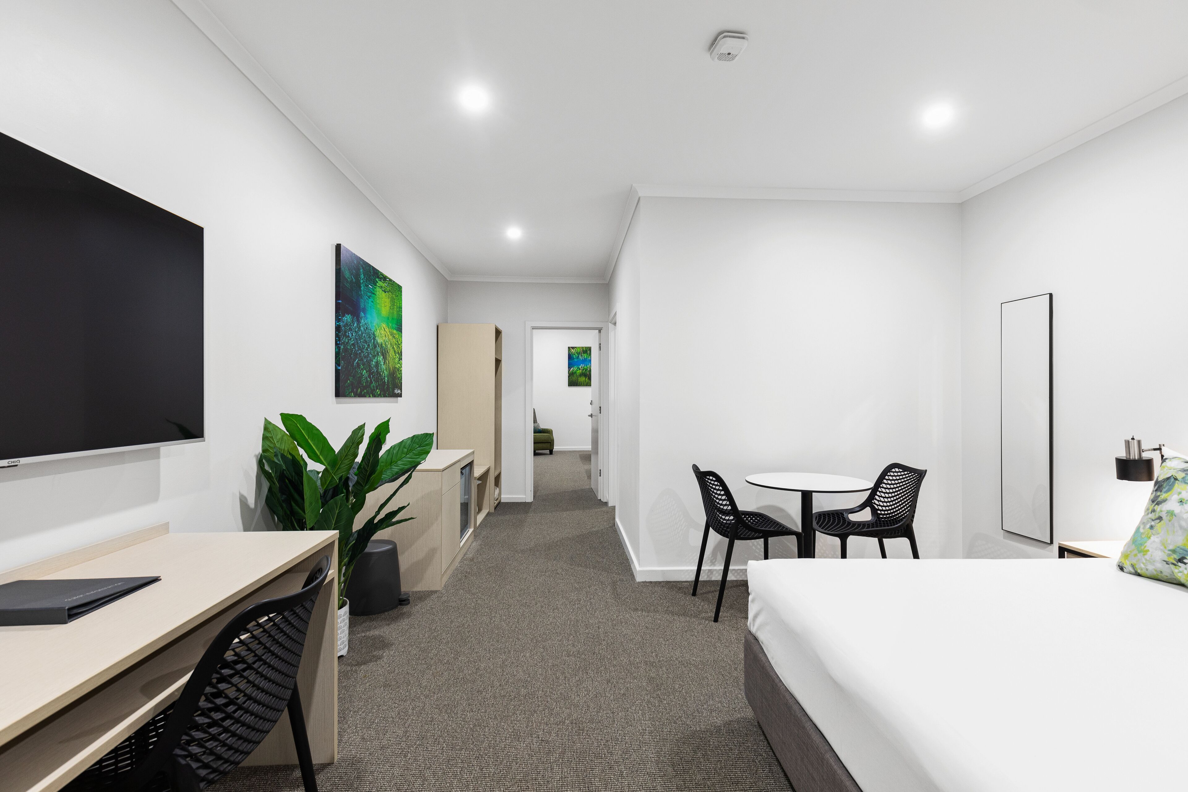A modern hotel room with a bed, desk, chairs, a flat-screen TV, and a plant.