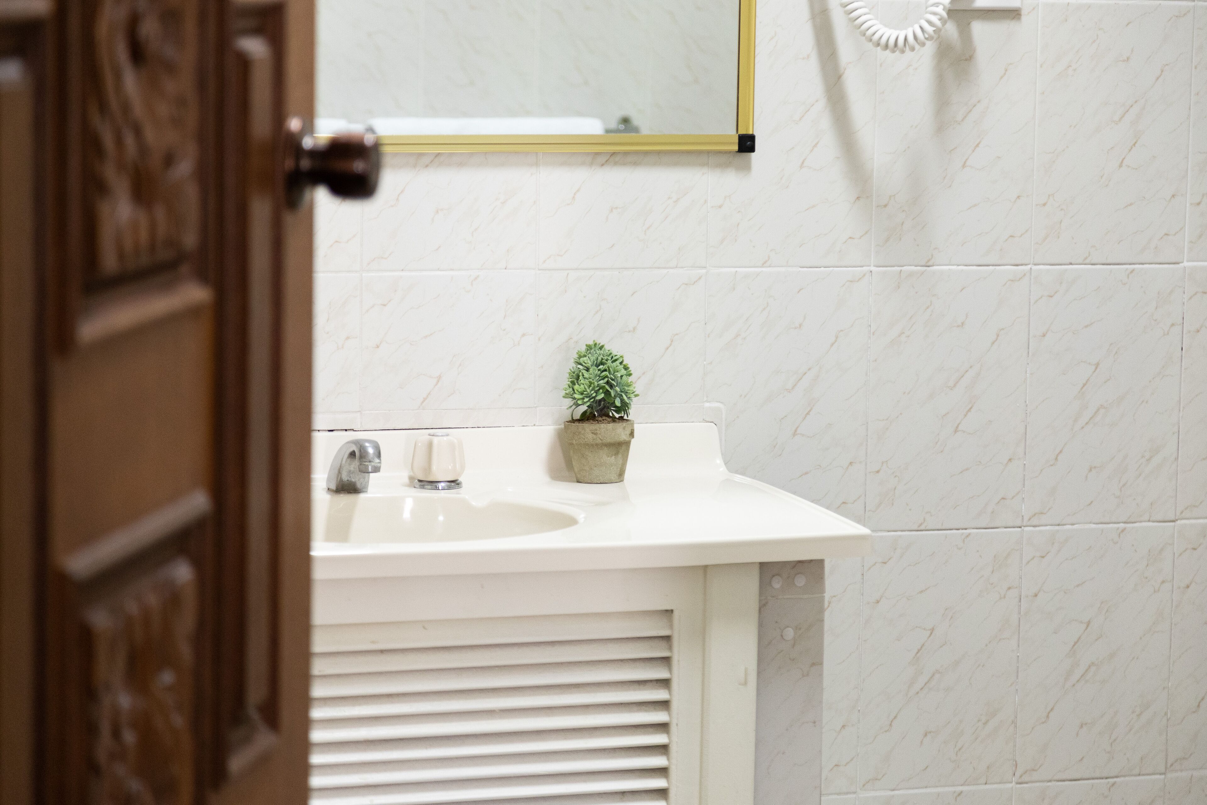 A bathroom with a white sink, a small potted plant, and a mirror above the sink.