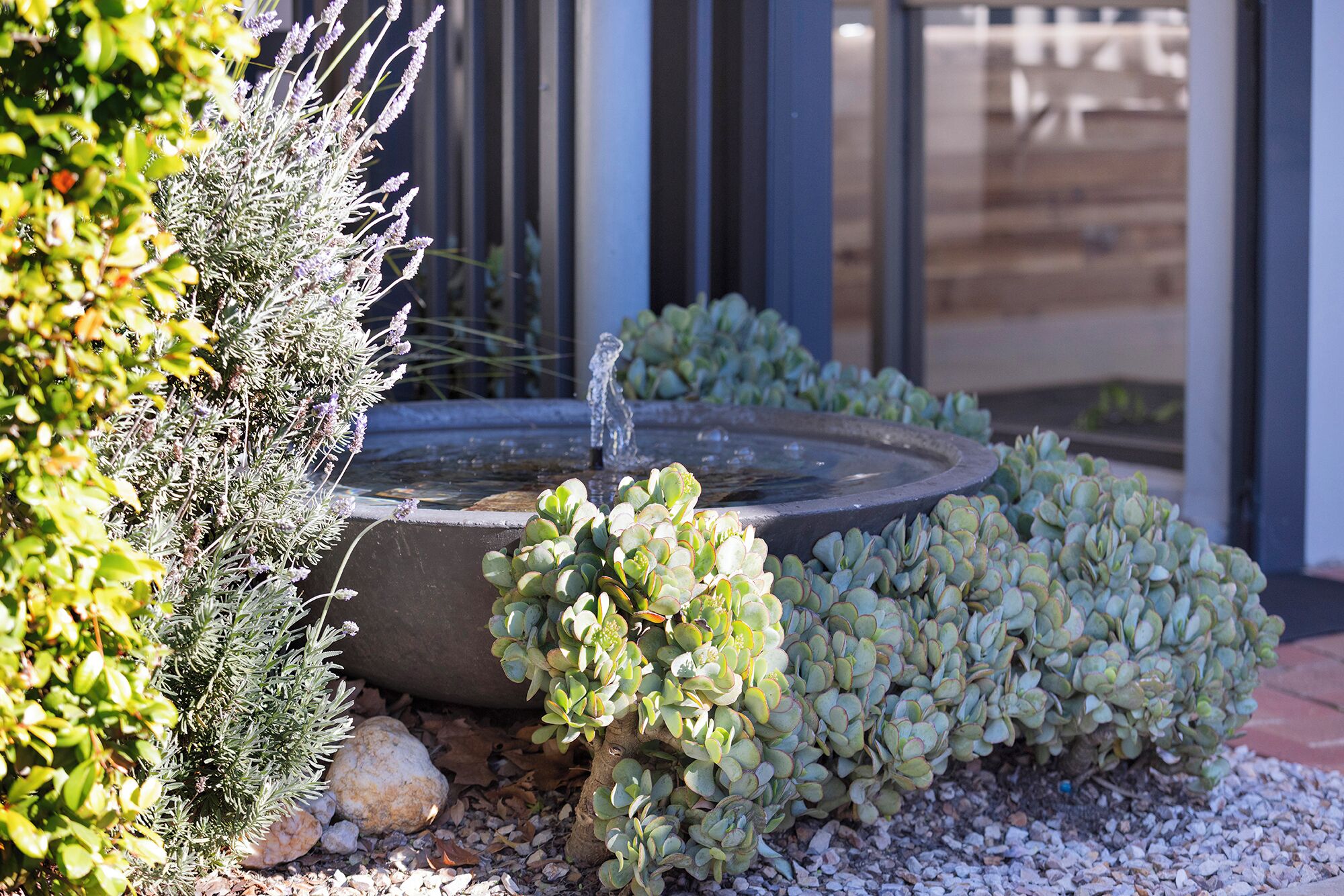 Un jardín con fuente de agua, diversas plantas y un sendero de piedra.