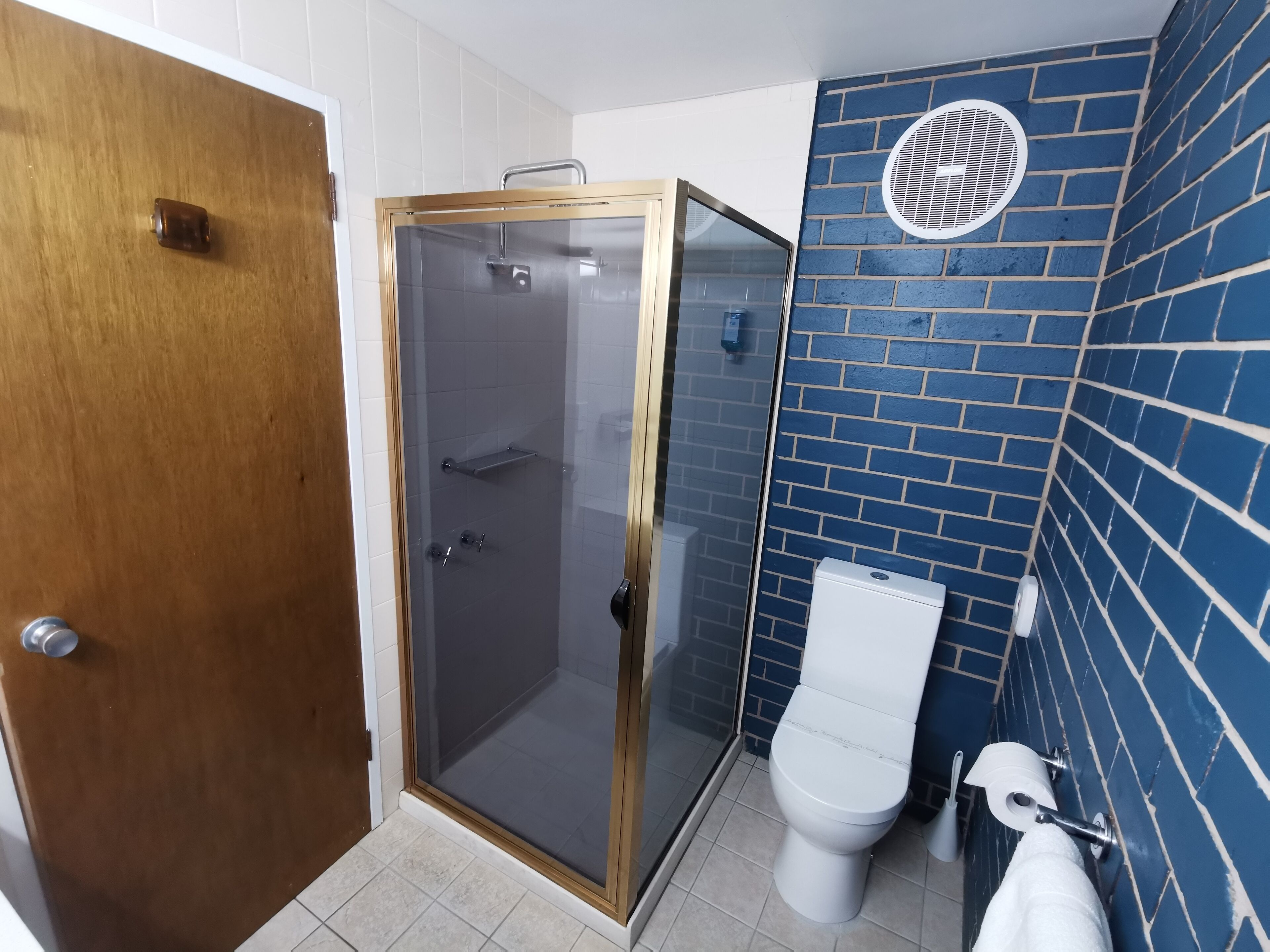 Een badkamer met een douchecabine van glas, een wit toilet en een wand betegeld met blauwe tegels.