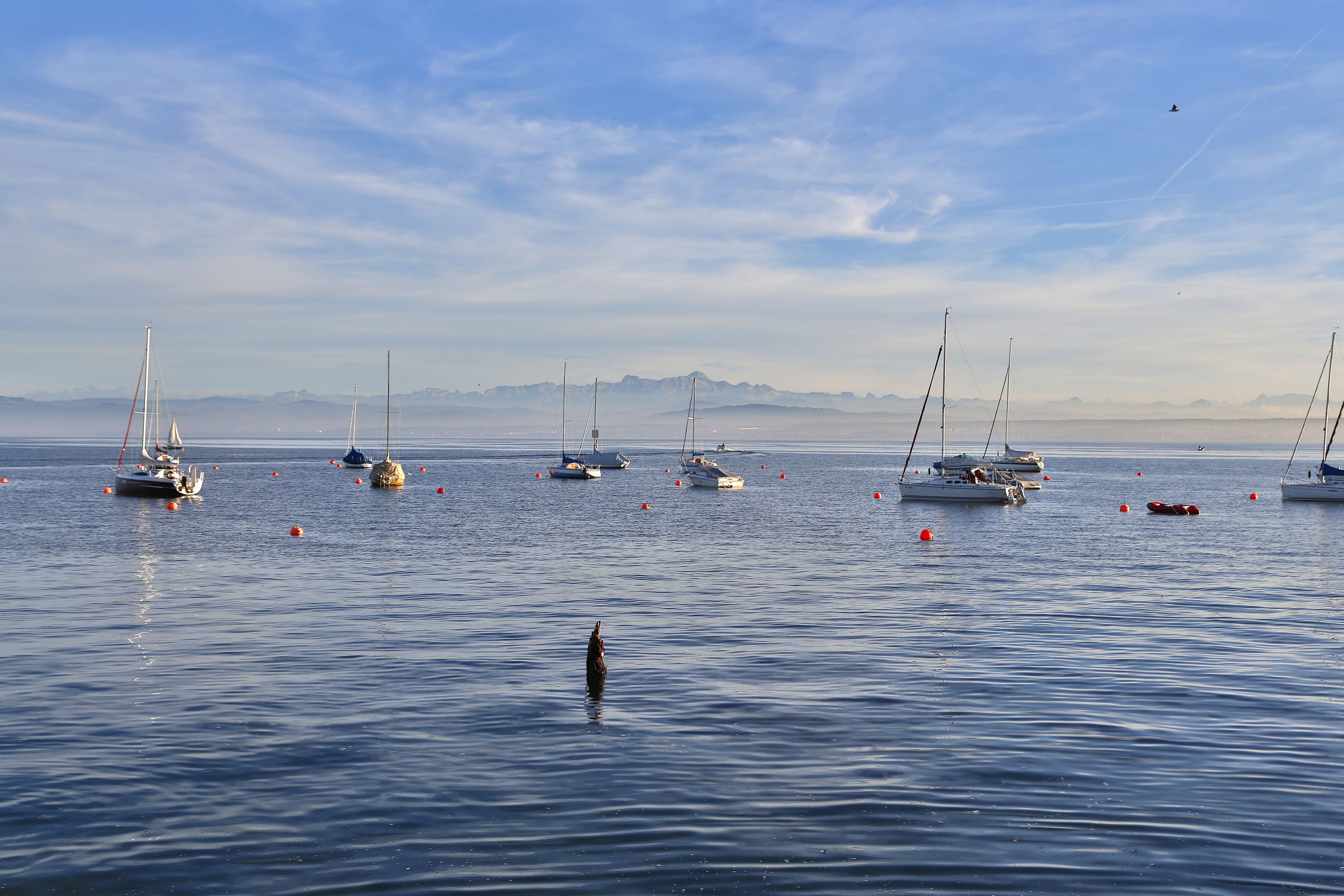 A calm harbor with multiple sailboats anchored in the water, a clear sky, and distant mountains.