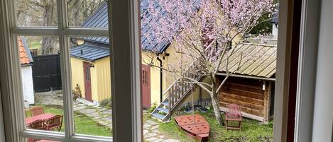 Une vue à travers une fenêtre donnant sur une cour arrière avec un chemin de pierres, une terrasse en bois et un arbre à fleurs roses.