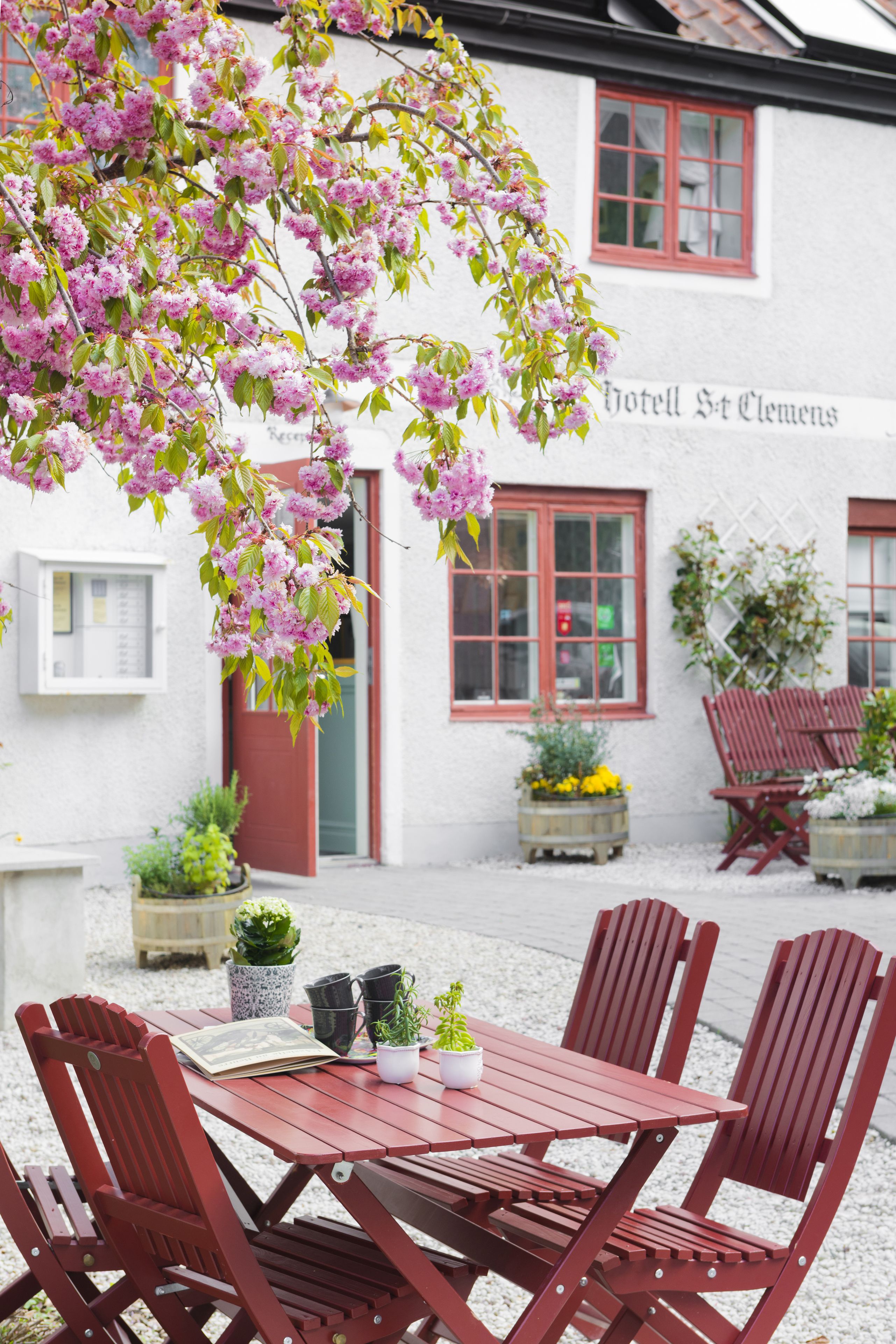 Trädgård