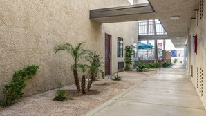 Un couloir doté d’un sol en béton, de murs à texture et de petites plantes.