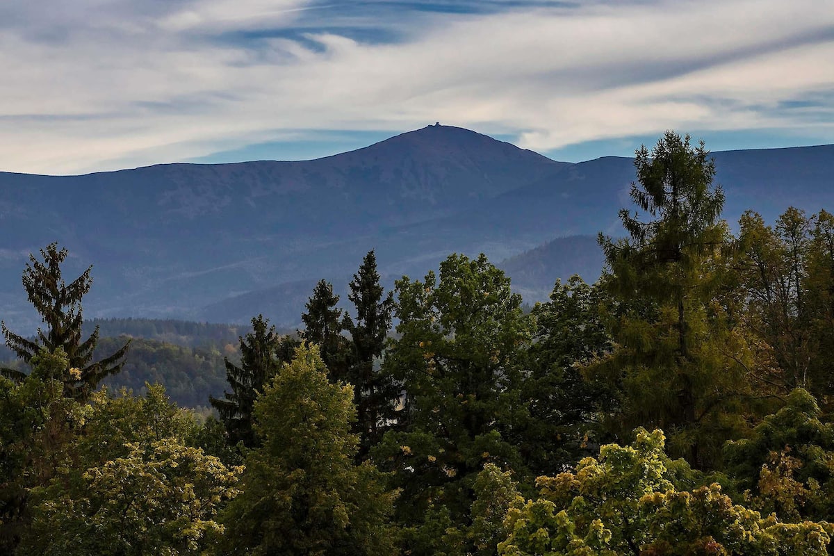 Ropa de cama hipoalergénica y escritorio