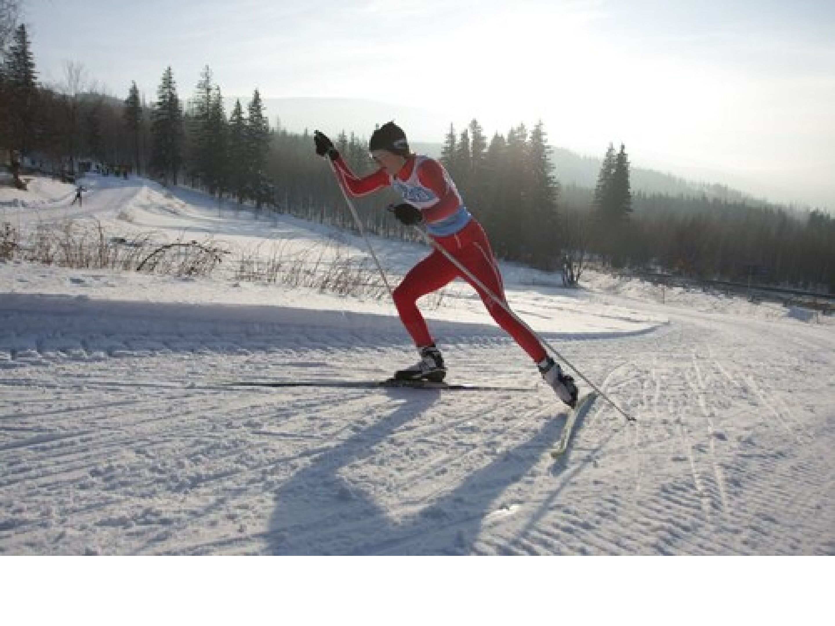 Une personne fait du ski sur une piste enneigée, avec des arbres en arrière-plan.
