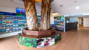 Un espace d’accueil agrémenté d’une grande sculpture en bois représentant un arbre, d’un mur où sont exposées des brochures de voyage et d’un comptoir de réception.