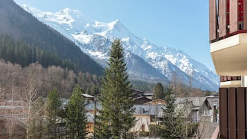 Vista de la montaña con picos nevados, un valle boscoso y edificios residenciales.
