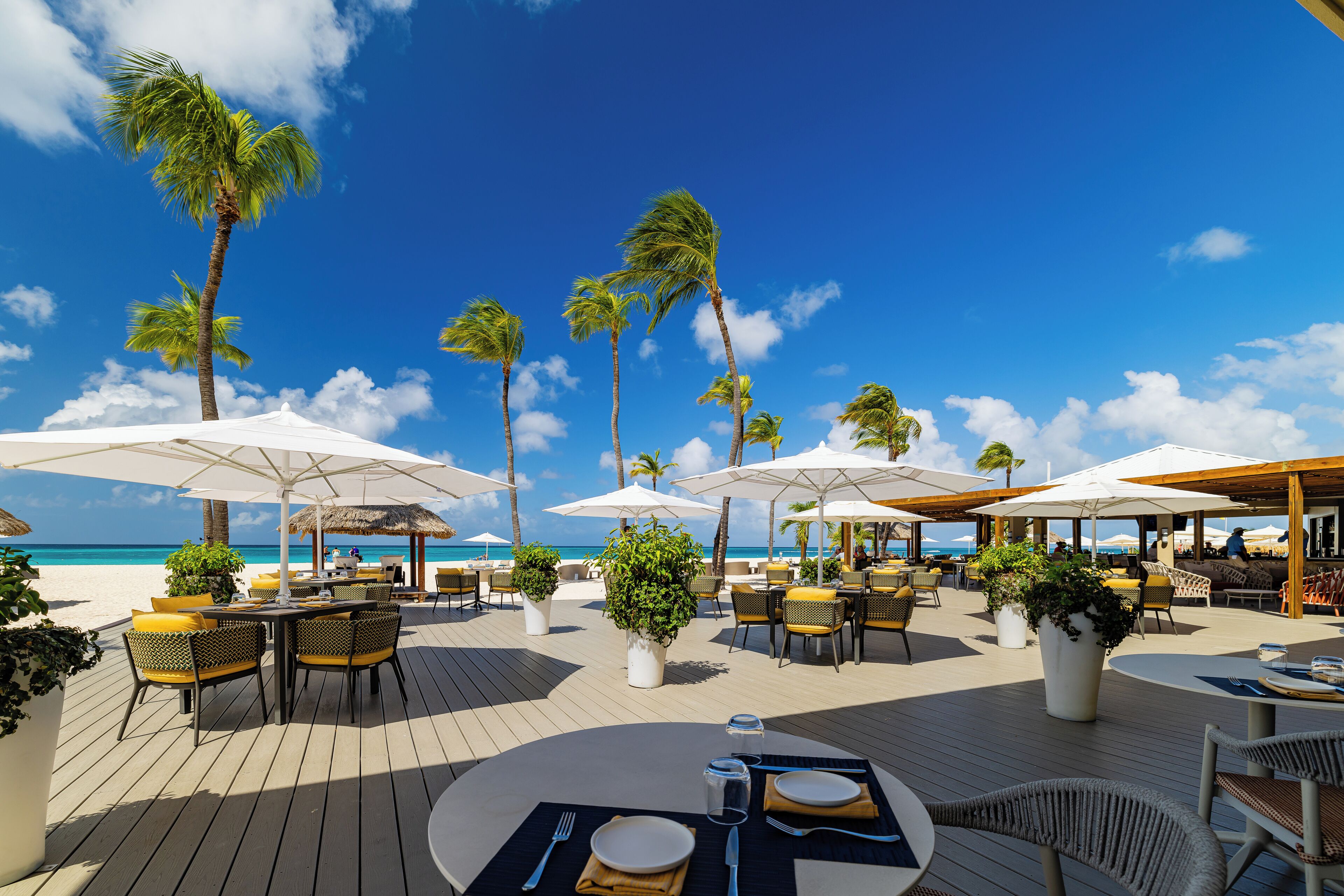 A beachside restaurant with outdoor seating, palm trees, and ocean views.