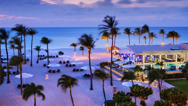A beach resort with palm trees, beach chairs, umbrellas, and a pool area. - Bucuti & Tara Beach Resort - Adults Only (Oranjestad)