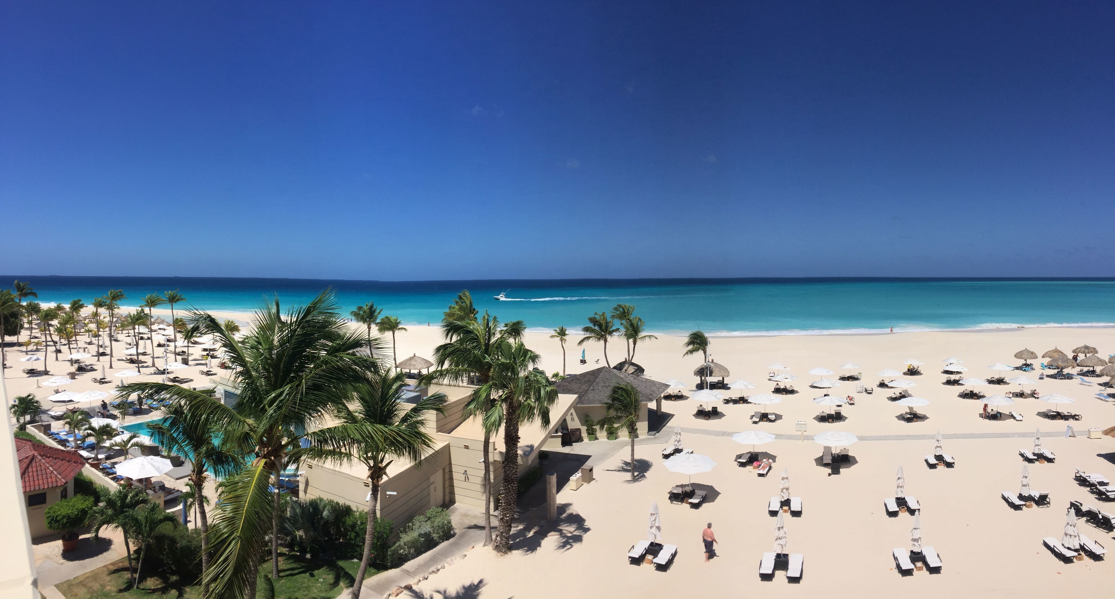 A beach resort with multiple sun loungers and umbrellas, a pool, and palm trees.