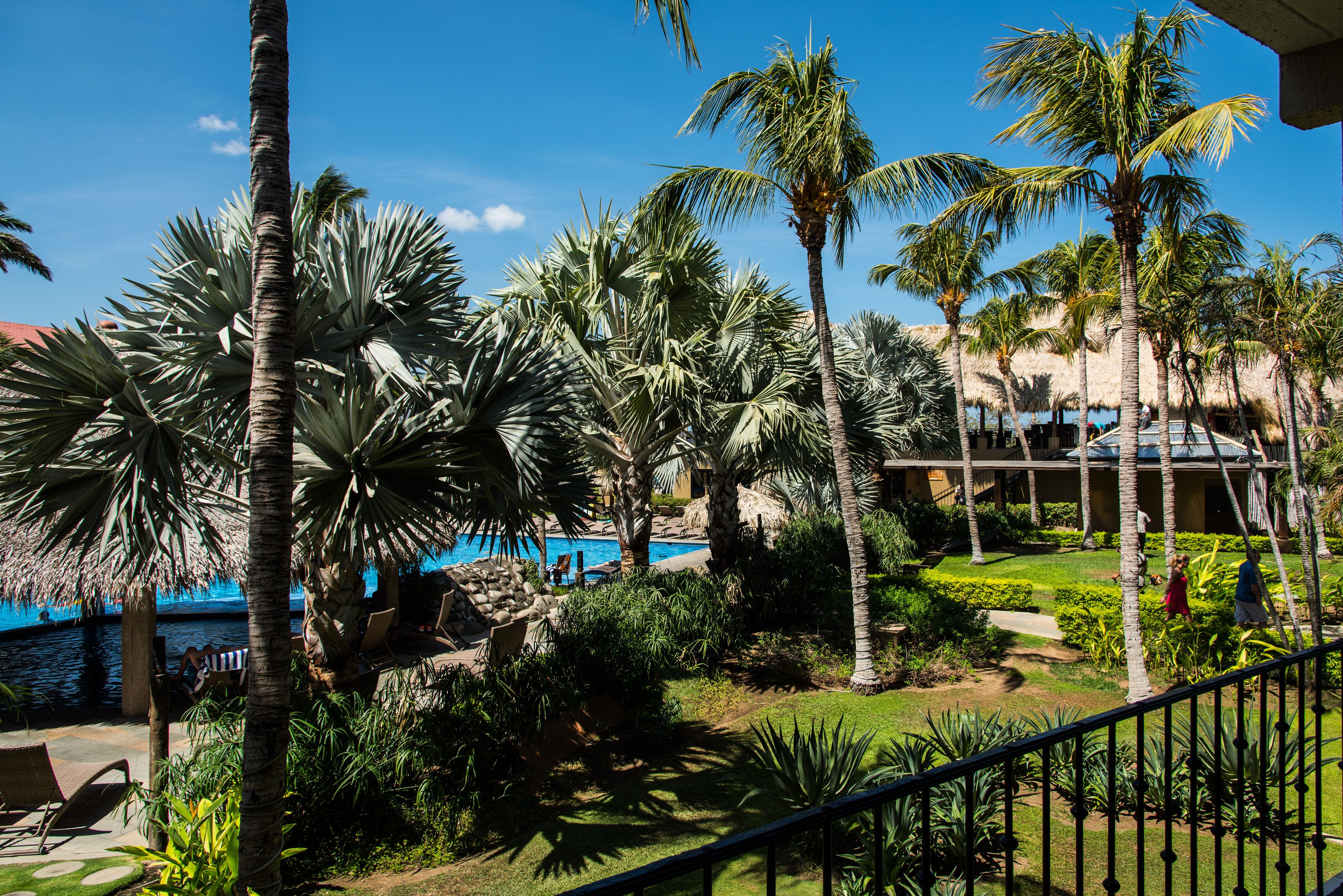 Ein tropisches Resort mit Pool, Palmen und Blick auf das Meer.