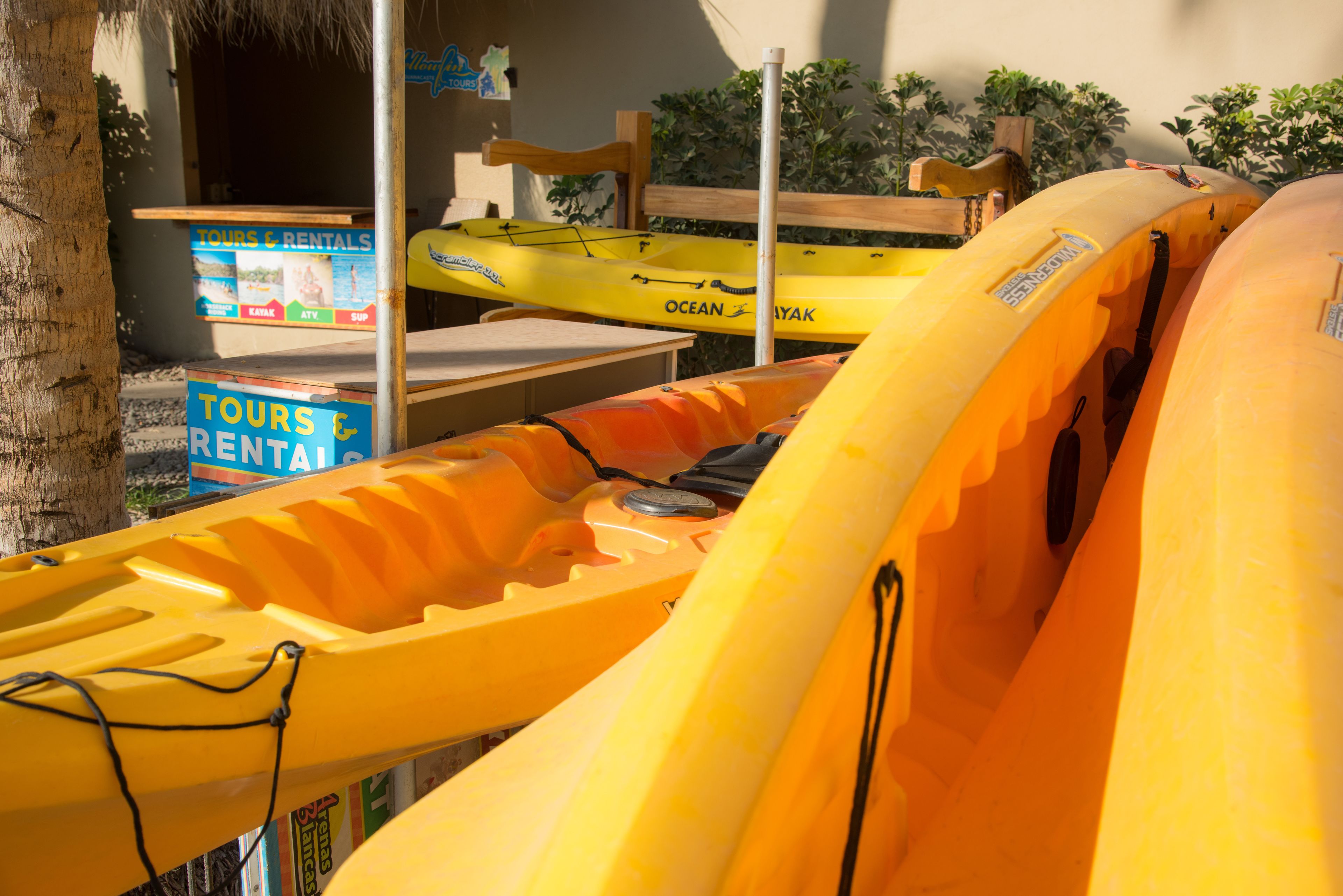 Une rangée de kayaks jaunes et un panneau indiquant les visites guidées et la location.