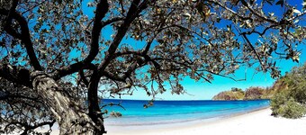 Margaritaville Beach Resort Playa Flamingo