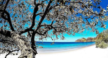 Margaritaville Beach Resort Playa Flamingo