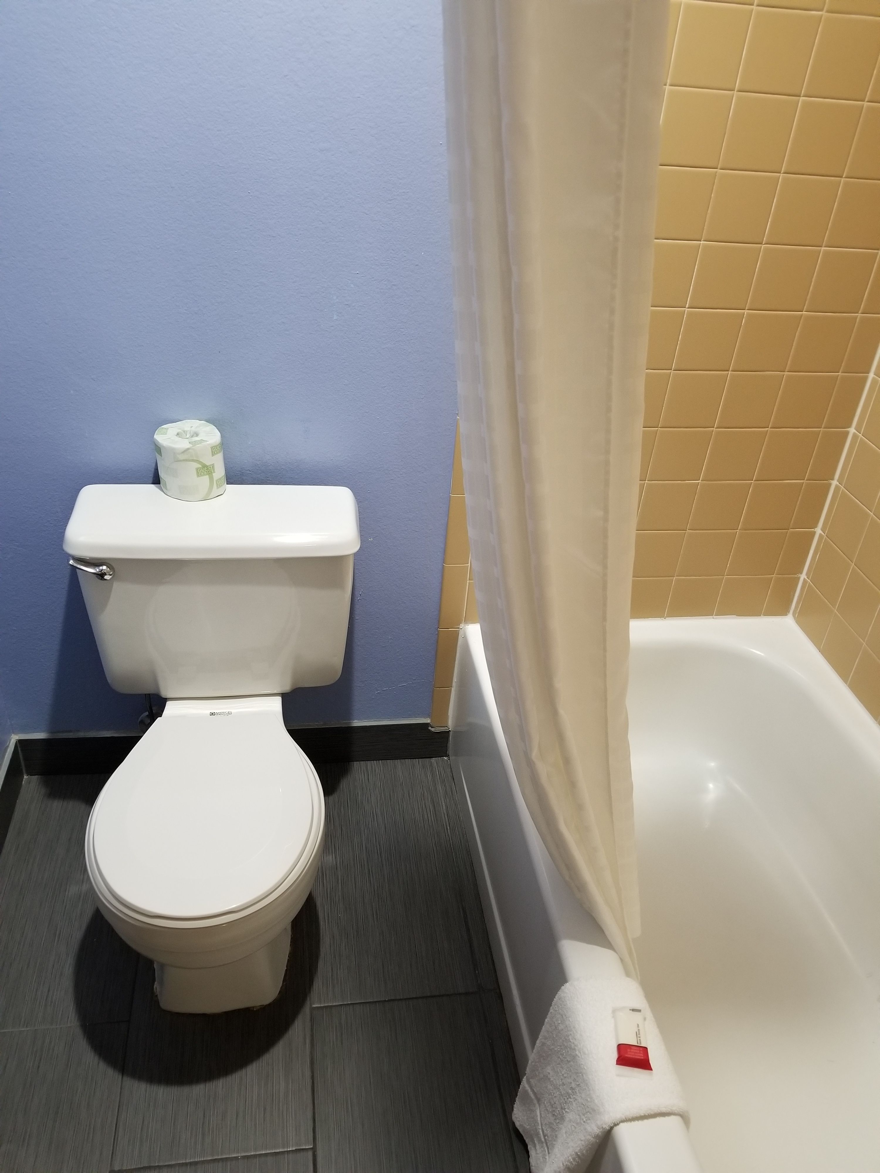 A bathroom with a toilet, a bathtub, and a shower curtain.