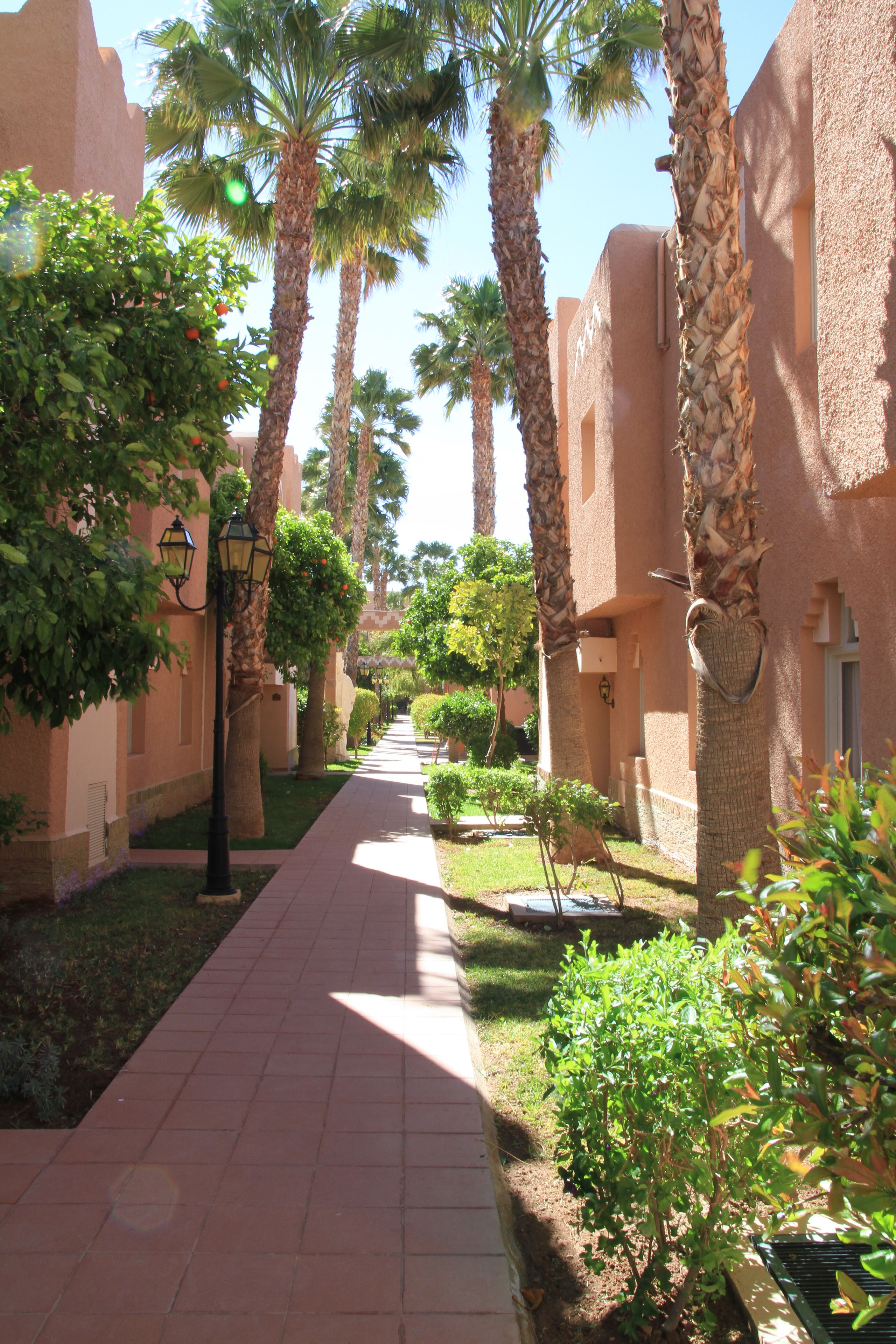 A pathway lined with palm trees and a building facade.