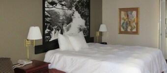 Econo Lodge Inn & Suites
