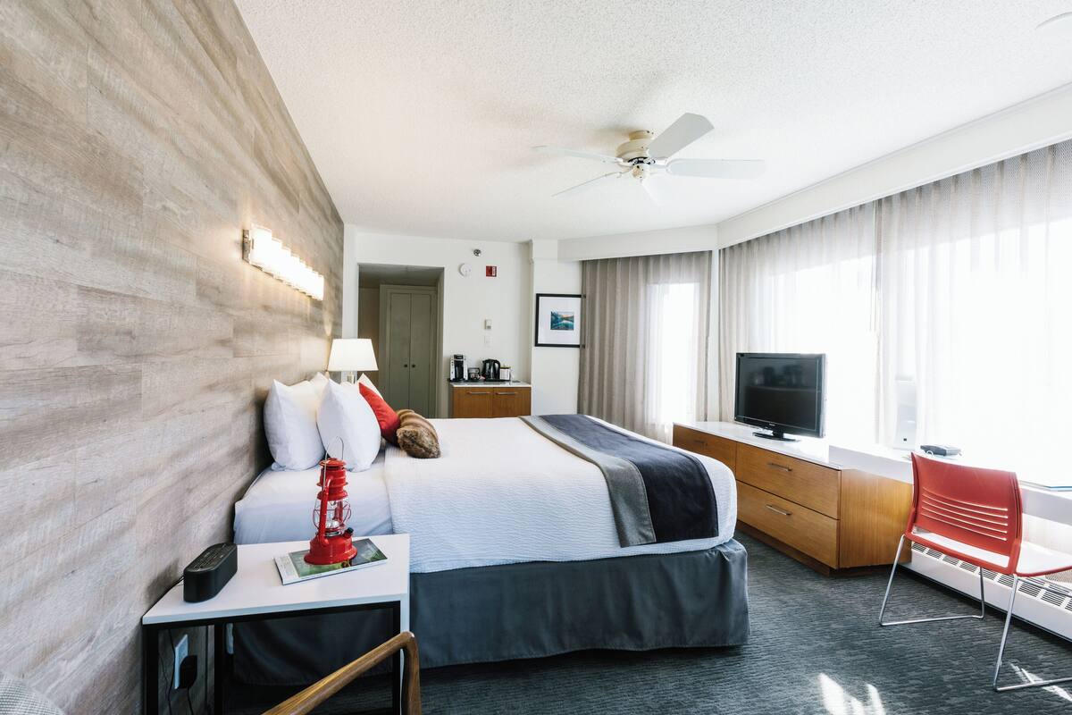 standard room, 1 king bed (pet friendly) | down duvets, desk, laptop workspace, blackout curtains