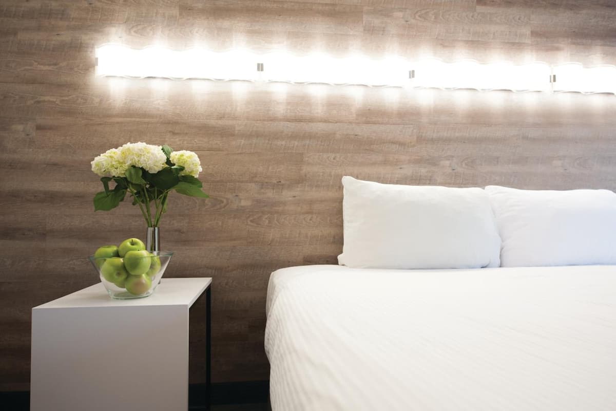 standard room, 2 queen beds pet friendly | down duvets, desk, laptop workspace, blackout curtains