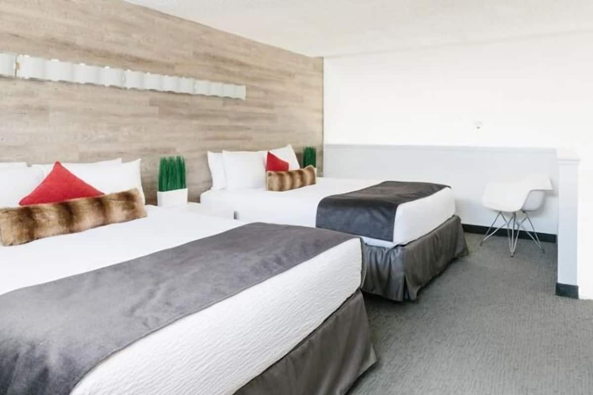 1 bedroom, down duvets, desk, laptop workspace