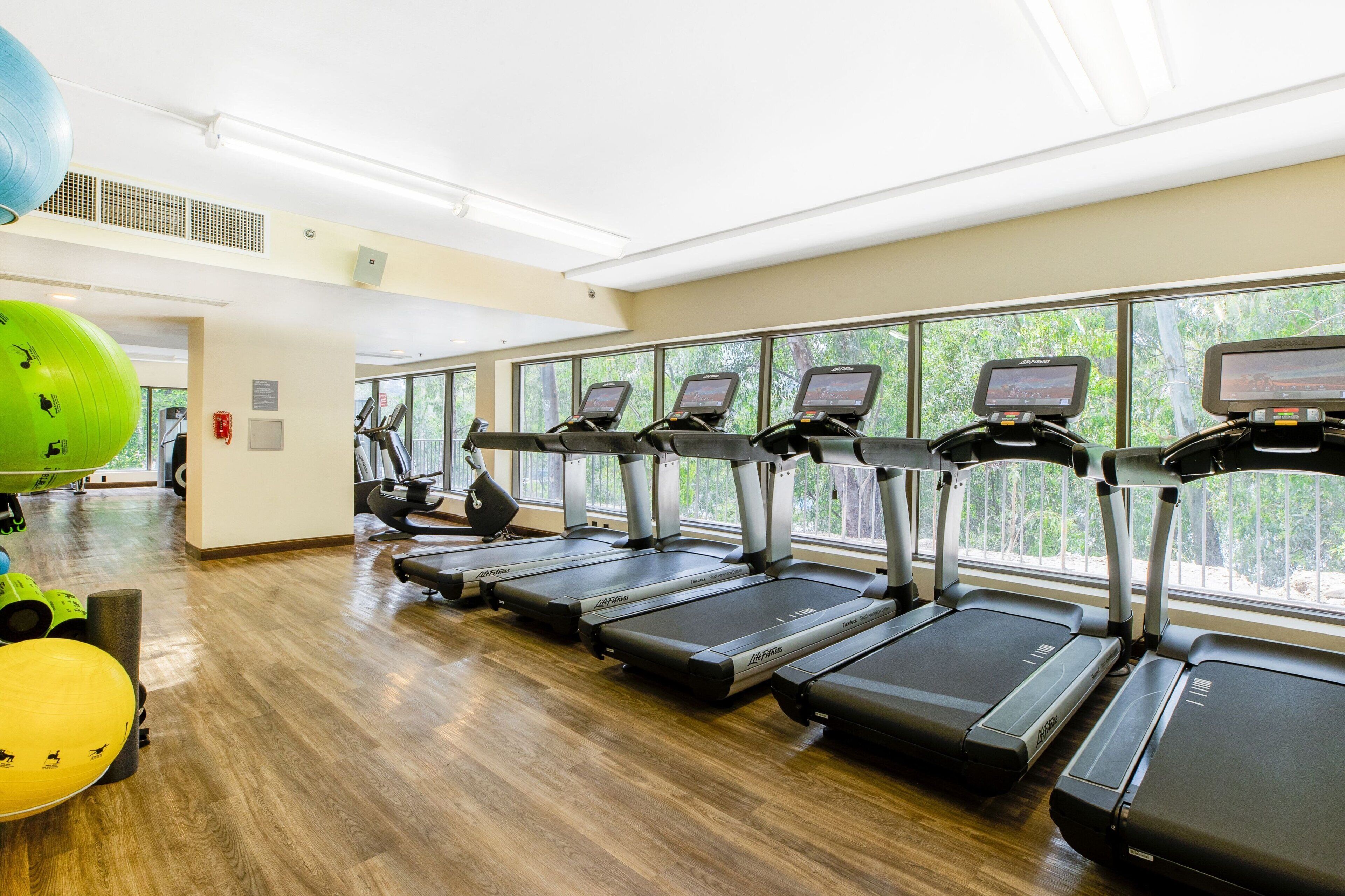 A gym with treadmills, exercise balls, and large windows.