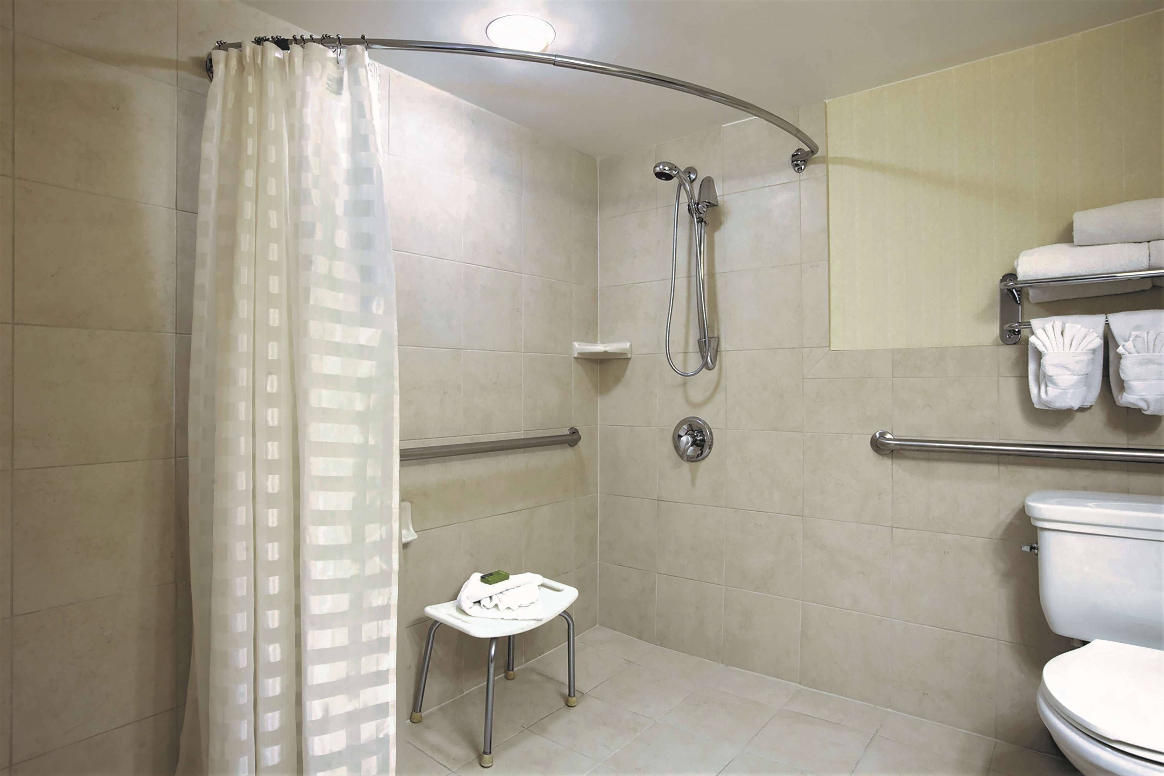 suite, 1 king bed, accessible, non smoking (roll-in shower) | bathroom shower