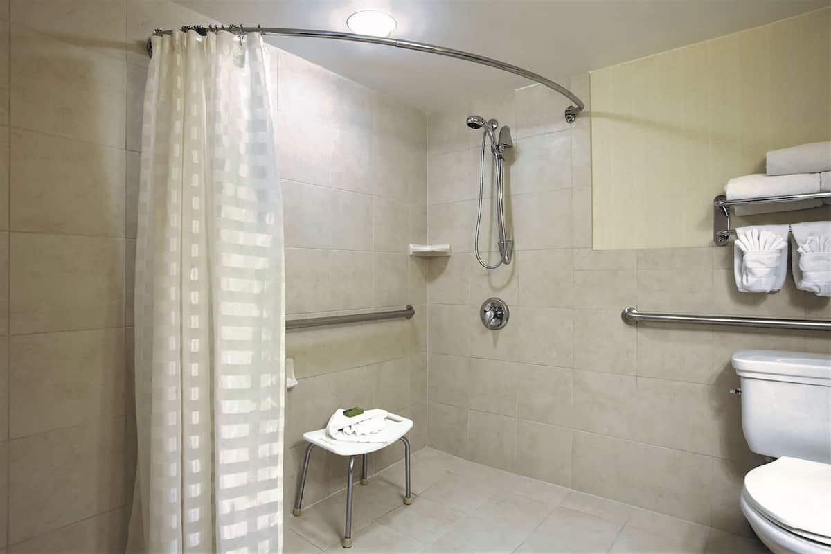 suite, 1 king bed, accessible, non smoking (roll-in shower) | bathroom shower